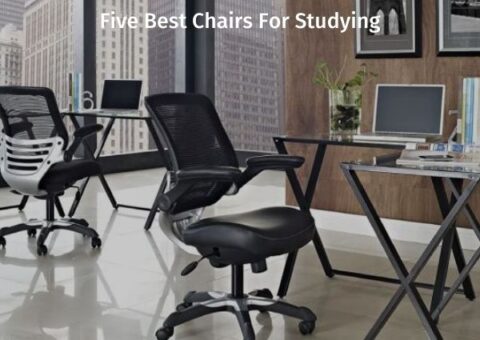 Five Best Chairs for Studying