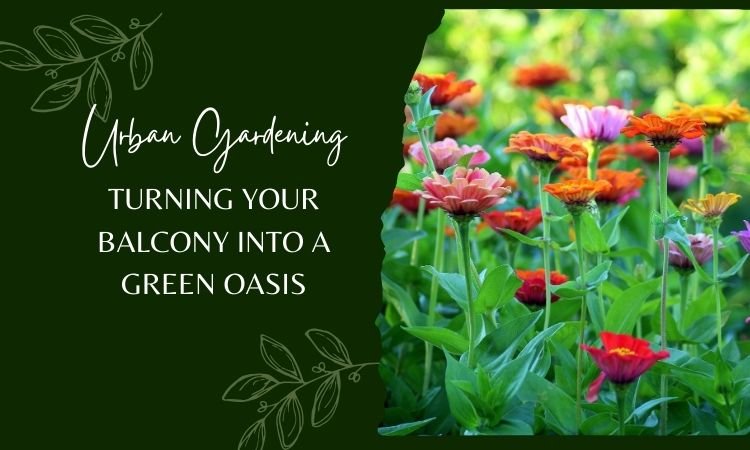 Urban Gardening: Turning Your Balcony into a Green Oasis